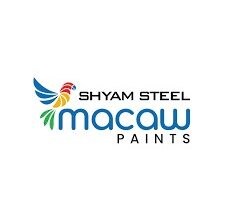 Photo of श्याम स्टील के मैकॉ पेंट्स ने ‘होली के रंग, मैजिक के संग’ के साथ पूर्वी भारत में मनाया रंगोत्सव