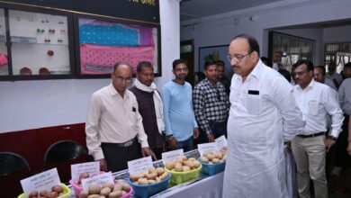 Photo of उद्यान मंत्री दिनेश प्रताप सिंह ने बाराबंकी में क्रेता-विक्रेता सम्मेलन में की सहभागिता