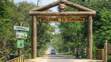 Photo of इको-टूरिज्म विकास से बदलेगी दुधवा की तस्वीर, पर्यटकों के लिए आसान होगा सफर : जयवीर सिंह