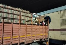 Photo of डीएफसीसीआईएल : चीकू की पहली रैक की हुई लोडिंग- किसानों को मिला बाजार, दिल्ली-एनसीआर को ताजे फल