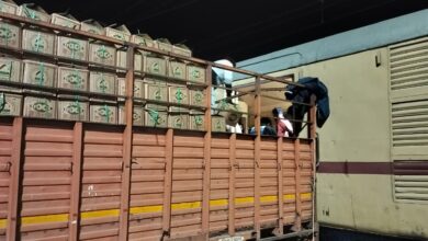 Photo of डीएफसीसीआईएल : चीकू की पहली रैक की हुई लोडिंग- किसानों को मिला बाजार, दिल्ली-एनसीआर को ताजे फल