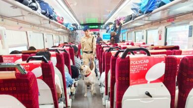 Photo of पूर्वाेत्तर रेलवे लखनऊ मण्डल पर यात्री सुरक्षा एवं रेल परिसरों की निगरानी में डॉग स्क्वाड की महत्वपूर्ण भूमिका
