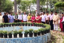 Photo of बाबासाहेब भीमराव अम्बेडकर विश्वविद्यालय में स्वदेशी विषय पर विशेष बैठक आयोजन