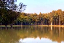 Photo of गोरखपुर के कुसम्ही जंगल में रू. 4.84 करोड़ से स्थापित किए जा रहे ईको पार्क से पर्यटन को बढ़ावा मिलेगा : मंत्री