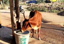 Photo of बेजुबानों की प्यास बुझाने के लिए आगे आई राष्ट्रीय सैनिक छात्र सेवा परिषद : अंकित शुक्ला