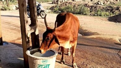 Photo of बेजुबानों की प्यास बुझाने के लिए आगे आई राष्ट्रीय सैनिक छात्र सेवा परिषद : अंकित शुक्ला