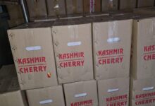 Photo of ऐतिहासिक उपलब्धि : जम्मू मंडल ने बांद्रा टर्मिनस के लिए बुक किए 28 पार्सल वैन