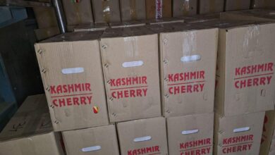 Photo of ऐतिहासिक उपलब्धि : जम्मू मंडल ने बांद्रा टर्मिनस के लिए बुक किए 28 पार्सल वैन