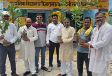Photo of विश्व पर्यावरण दिवस पर “एक पेड़ माँ के नाम” अभियान पर प्राथमिक विद्यालय छिबरामऊ पश्चिमी में पौधारोपड़