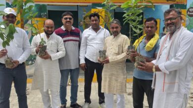Photo of विश्व पर्यावरण दिवस पर “एक पेड़ माँ के नाम” अभियान पर प्राथमिक विद्यालय छिबरामऊ पश्चिमी में पौधारोपड़