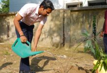 Photo of ‘ग्रीन ऑफिस- क्लीन ऑफिस’ : मिशन निदेशक खरे ने किया पौधारोपण एवं दिलाई पर्यावरण संरक्षण की शपथ