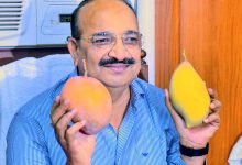 Photo of स्वाद, संस्कृति और समृद्धि का संगम होगा यूपी आम महोत्सव – 2026 : मंत्री दिनेश प्रताप सिंह