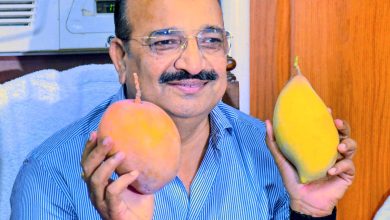 Photo of स्वाद, संस्कृति और समृद्धि का संगम होगा यूपी आम महोत्सव – 2026 : मंत्री दिनेश प्रताप सिंह