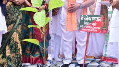 Photo of कानपुर में खादी एवं ग्रामोद्योग मंत्री राकेश सचान ने ‘एक पेड़ माँ के नाम 2.0’ के तहत किया पौधरोपण