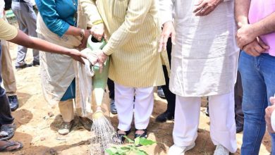 Photo of मुरादाबाद में एमएसएमई मंत्री भूपेंद्र चौधरी ने ‘एक पेड़ माँ के नाम’ अभियान के तहत दो स्थानों पर किया वृक्षारोपण