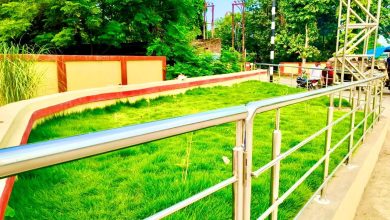 Photo of गोरखपुर जंक्शन के प्लेटफॉर्म सं. 09 कैबवे साइड का हुआ सौंदर्यीकरण