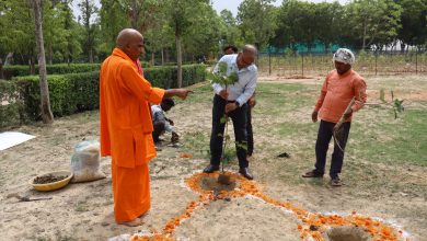 Photo of बाबासाहेब भीमराव अम्बेडकर विश्वविद्यालय के वानस्पतिक उद्यान में त्रिवेणी वृक्षारोपण, पर्यावरण संरक्षण का दिया संदेश