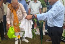 Photo of ‘एक पेड़ माँ के नाम’ – हाथी पार्क में प्रभारी मंत्री सुरेश खन्ना ने किया पौधारोपण