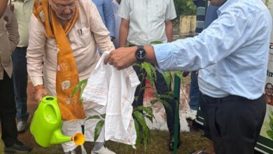 Photo of ‘एक पेड़ माँ के नाम’ – हाथी पार्क में प्रभारी मंत्री सुरेश खन्ना ने किया पौधारोपण