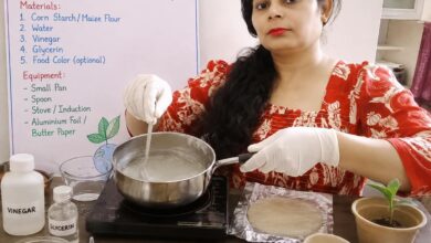 Photo of World of Chemistry Group प्रस्तुत करता है – HomeLab Eco-Friendly Bio-Plastic project