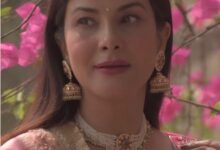 Photo of हिंदी दिवस पर ‘हस्तिनापुर के वीर’ के कलाकारों ने मनाया हिंदी का गौरव