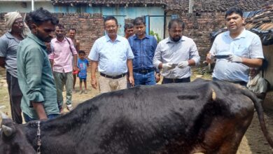 Photo of अतिवृष्टि से फसलों को भारी नुकसान, 5,454 पशुओं का टीकाकरण